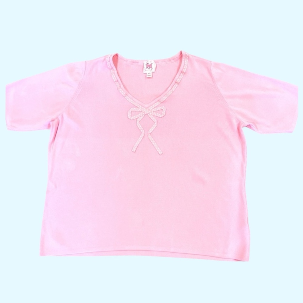 PINK POODLE knit short sleeve embroidered front EUCLN top Sz 3X